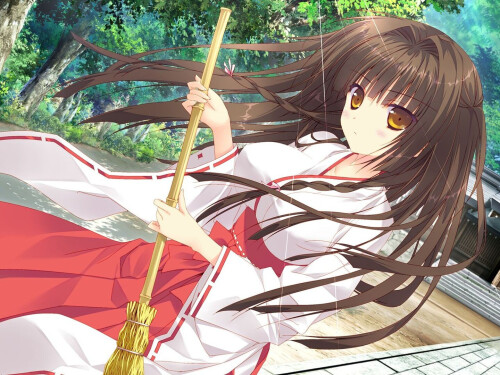 A-Maidens-Serenade-12b114af4780838d55.jpg