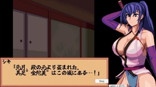 Advance-Special-Investigation-Kunoichi-010f8381bc5afe8eac.jpg