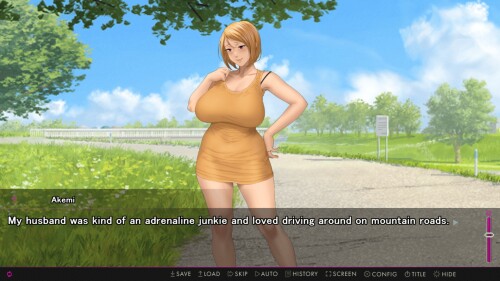 Afternoon-Affairs--Helpless-Housewives-02e6b1d2e0451b2719.jpg