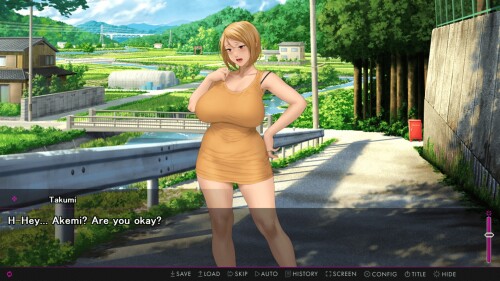 Afternoon-Affairs--Helpless-Housewives-053e5f2b32c032e3b9.jpg