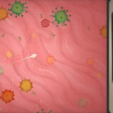 Ayane : The Pregnancy Planet 04.jpg