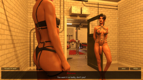 BDSM-Sex---Futanari-2-08fa26deaba36d9434.jpg
