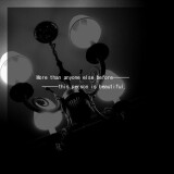 Ballad of an Evening Butterfly 1.jpg