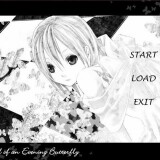 Ballad of an Evening Butterfly 3.jpg