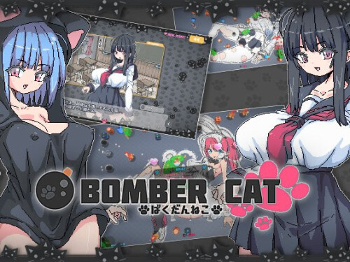 Bomber Cat 01