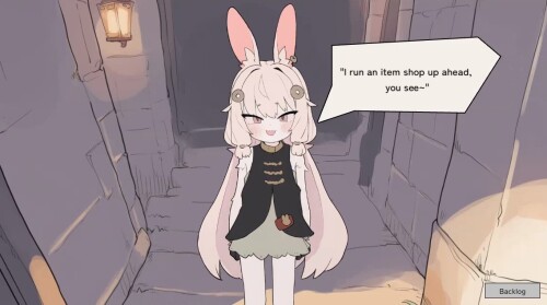 Bunny-Shopkeeper--Adventurer-Life-025dd106c240f08682.jpg