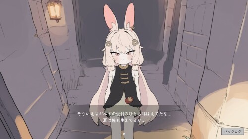 Bunny-Shopkeeper--Adventurer-Life-03d7d044cec43c536b.jpg