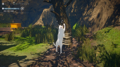 Cat Island Petrichor 02