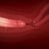 Competitive-swimsuit-sunburn-marks-teacher-and-me-056be53e13b4c62975