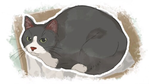 Dear me, I was… 05