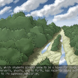 Deep in a Thicket 2.jpg