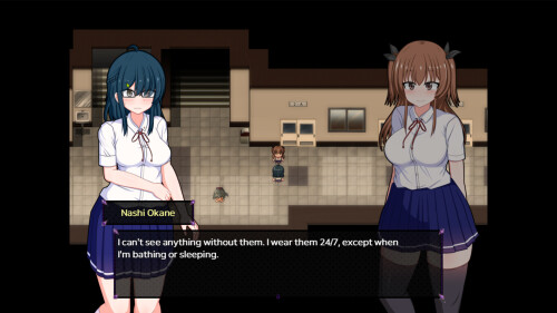 Do Disciplinary Committee Members Dream of Succubi 03