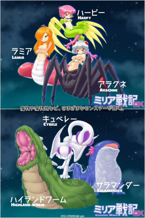 Echidna Wars DX 03