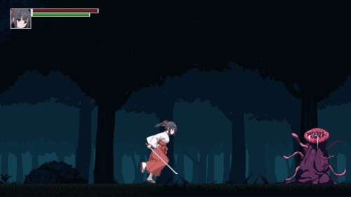 Exorcist-Shrine-Maiden-Iname-01c5890c480f1be101.jpg