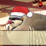 Hatoful-Boyfriend-Holiday-Star-033dbf751c97c1f222