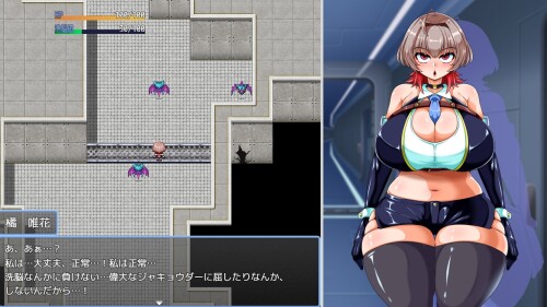 Heroines-Mission-A-beautiful-girl-Spy-seems-to-be-infiltrating-an-evil-Organization-05cbbe7227cb79de48.jpg