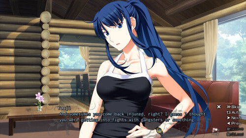 Labyrinth-of-Grisaia-2446f12822435ce81.jpg