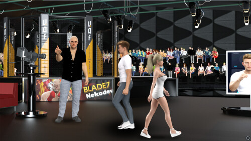 MMA Life Simulator 03