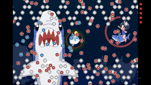 MolaMola-Adventure-0206e06c27d5ddb4fc.jpg