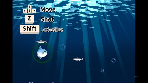 MolaMola-Adventure-05778b9bbf4c59a1c2.jpg