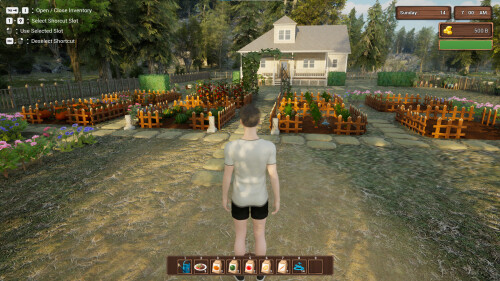 Moonshine Ville 01
