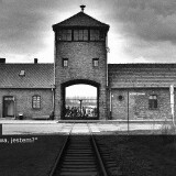 N.E.M.O.-05b5e61387a81bd809