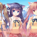 Neko-nin-exHeart-Plus-Saiha-23ac2529d5bf8e701