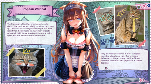 Nekopedia Find Her Tail 06