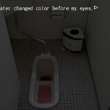 Night of the Forget-Me-Nots 4.jpg