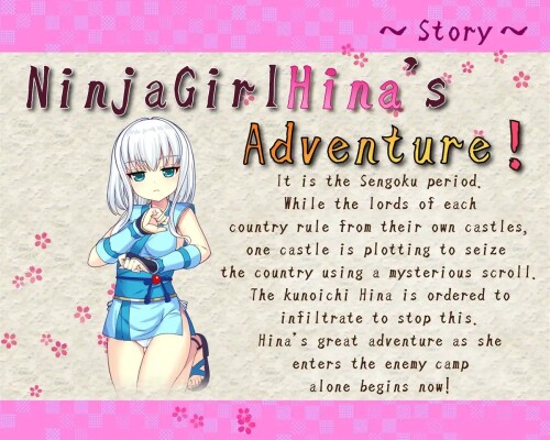 NinjaGirlHina-for-English-01ab774ffbf0f250f5.jpg