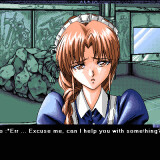 Nocturnal Illusion 2.jpg