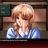 Nocturnal Illusion Renewal.jpg