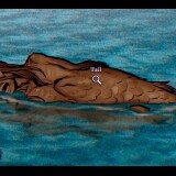 PARANORMASIGHT-The-Mermaids-Curse-03620f1d0125594fc6