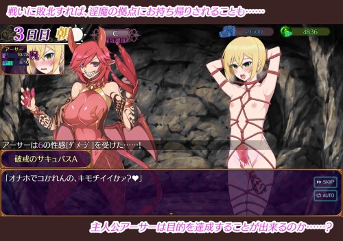 Paradise-Succubus-A-Paradise-for-Destruction-Creation-and-Chaos-1007b23aeb99187117.jpg