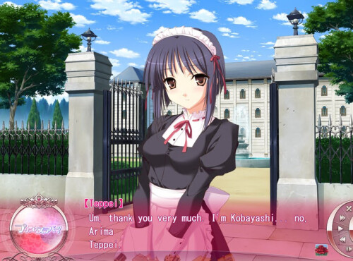 Princess-Lover-022aad243f2875aa97.jpg