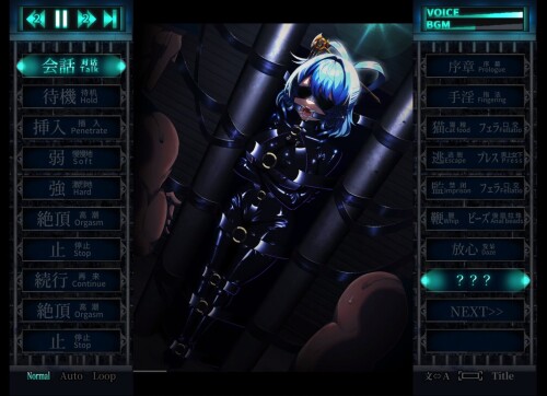 Punishment-NyanNyan-R-06455138f1be629f5c.jpg
