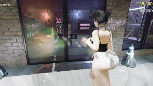 Sex-Shop-Simulator-X-RAY-DESIRE-057773ebfc9105873d.jpg