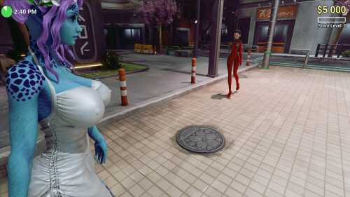 Sex-Shop-Simulator-X-RAY-DESIRE-0901a8b7d62fcc25d4.jpg