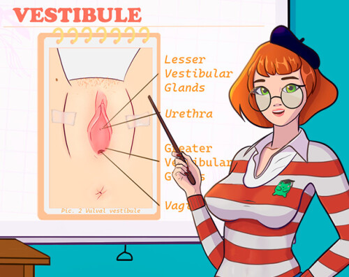 SexEd-Course-042b1158f9431ed2ac.jpg