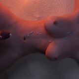 Stranded--Naked-0707785065d798fce9