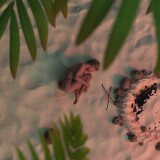 Stranded--Naked-08ea5ff03b032598e7