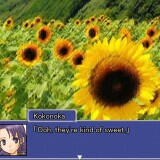 Summer-Cicadas-and-the-Girl-42ef0561a11017fc5