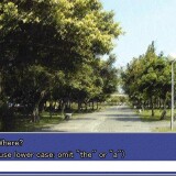 Summer-Cicadas-and-the-Girl-5c0bce9fd64fae8bb