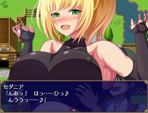 The-Royal-Knight-Sedania-and-Her-Indecent-Desires-03053fee27ab99c9cd.jpg