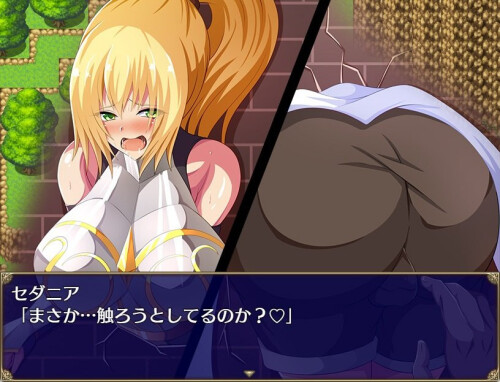 The-Royal-Knight-Sedania-and-Her-Indecent-Desires-0845709cb78201eb16.jpg