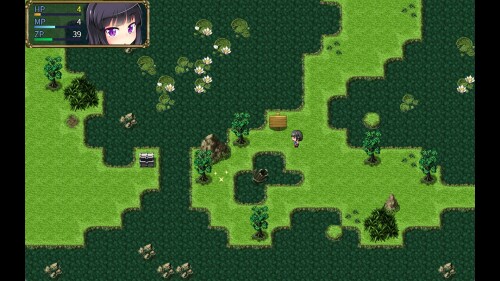 The Succubus Trap Island 09