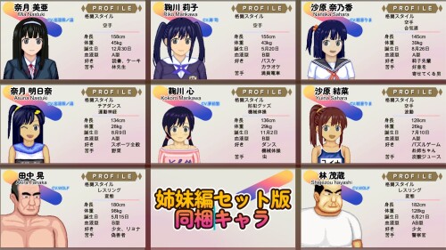 WOLF ~Erotic Update Type Fighting Game~ “Sister Series” Set 01