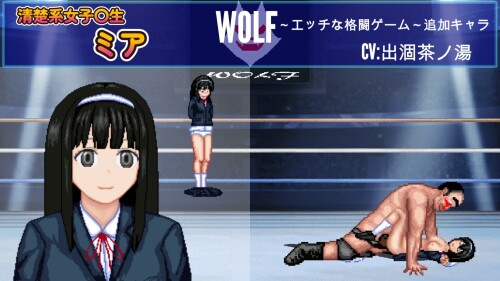 WOLF-Naughty-Update-Type-Fighting-Game-01d69c101eb8246d5e.jpg