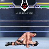 WOLF-Naughty-Update-Type-Fighting-Game-079008ed87d03cc7d4