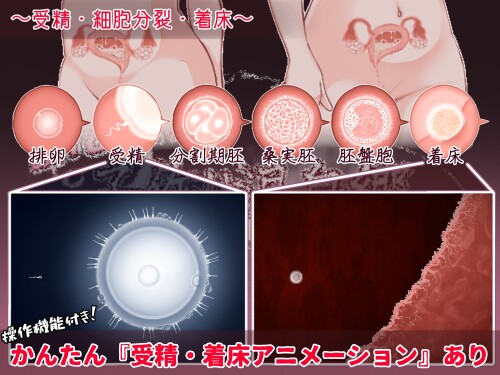 Welcome-to-the-Baby-Making-Hot-Spring-Village-04d1e9e2dfd2a1cd2a.jpg